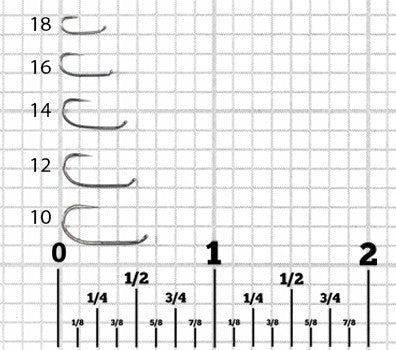 D101BL