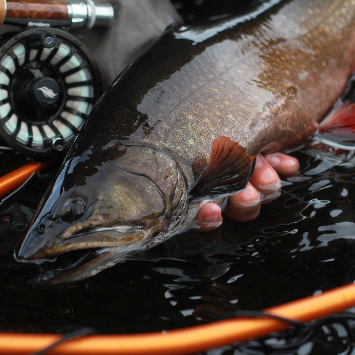 Fly Tying Hooks - Allen Fly Fishing Fly Tying Hooks - Allen Fly Fishing