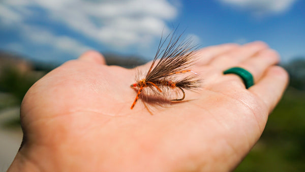 Salmonflies are coming!